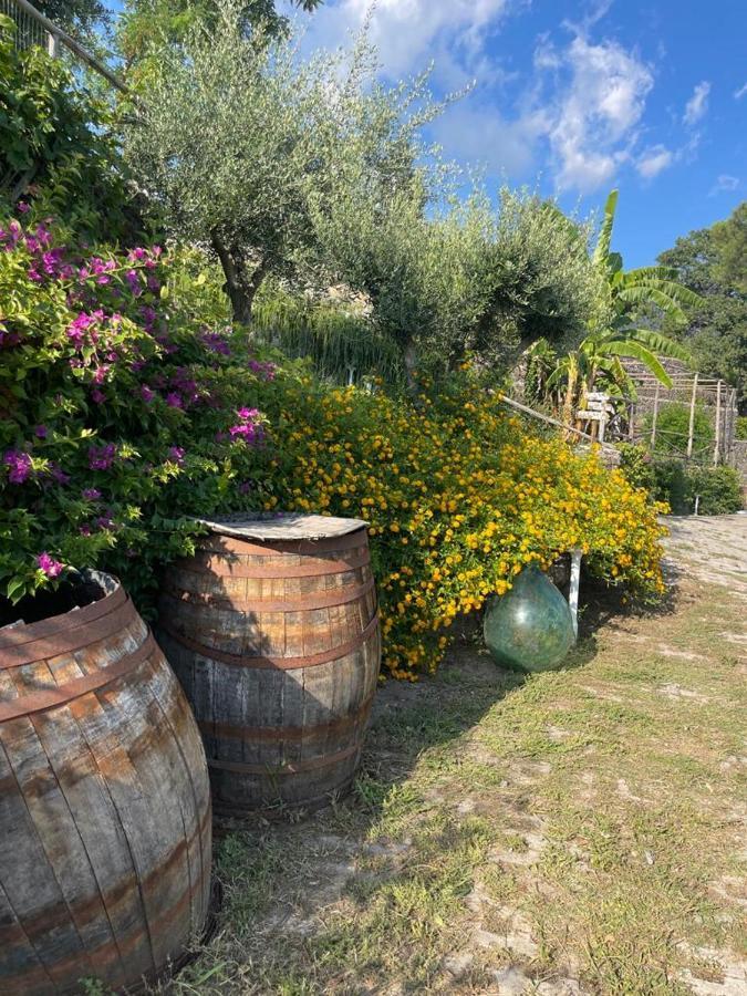 B&B Sunset Ercolano Bagian luar foto