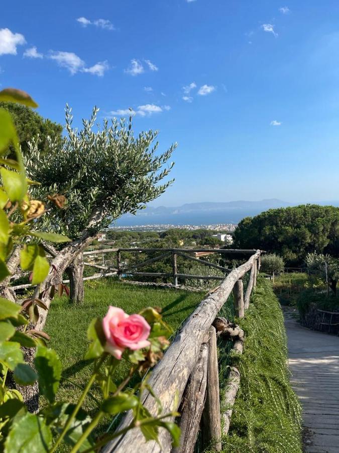 B&B Sunset Ercolano Bagian luar foto